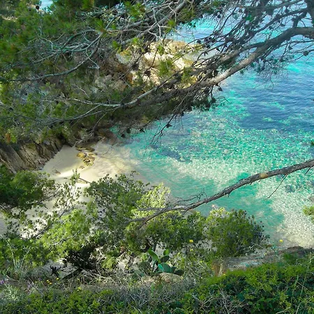 Select'sohome - Pour 4 A Saint-clair Avec Jardin, Piscine Et Parking Prive ! - 180sud-b01 Lägenhet Le Lavandou