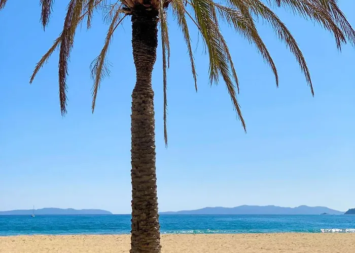 Lägenhet Select'sohome - Pour 4 A Saint-clair Avec Jardin, Piscine Et Parking Prive ! - 180sud-b01 *