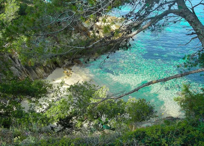 Select'sohome - Pour 4 A Saint-clair Avec Jardin, Piscine Et Parking Prive ! - 180sud-b01 Lägenhet Le Lavandou